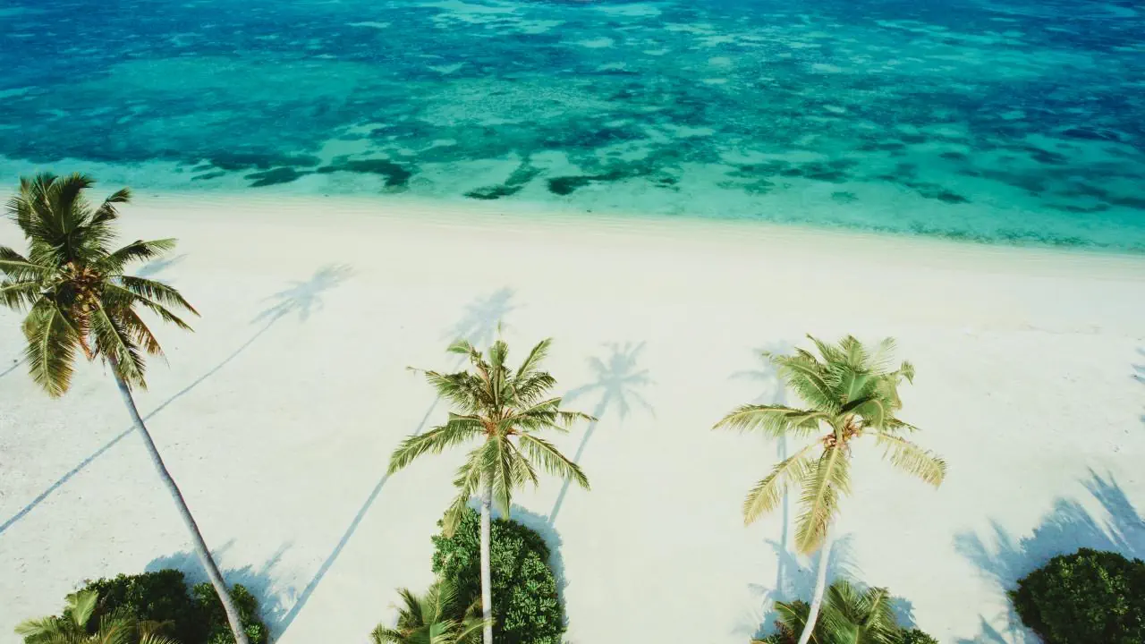 Jawakara Maldives - zdjęcie 22