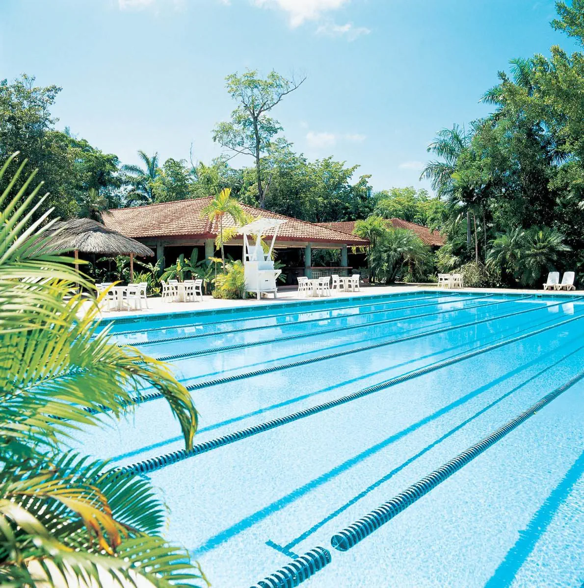 HOTEL Couples Swept Away
