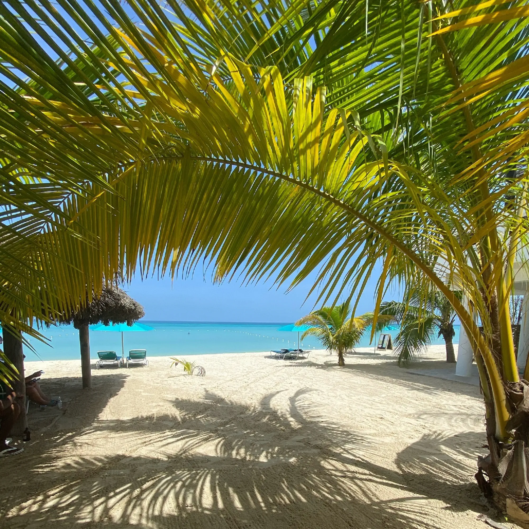 White Sands Negril - zdjęcie 4