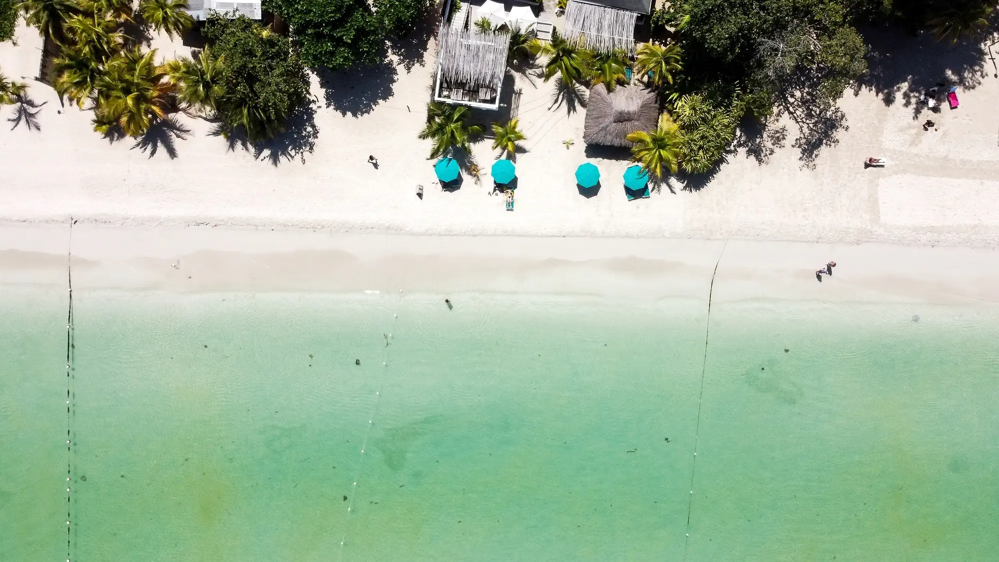 White Sands Negril - zdjęcie 5
