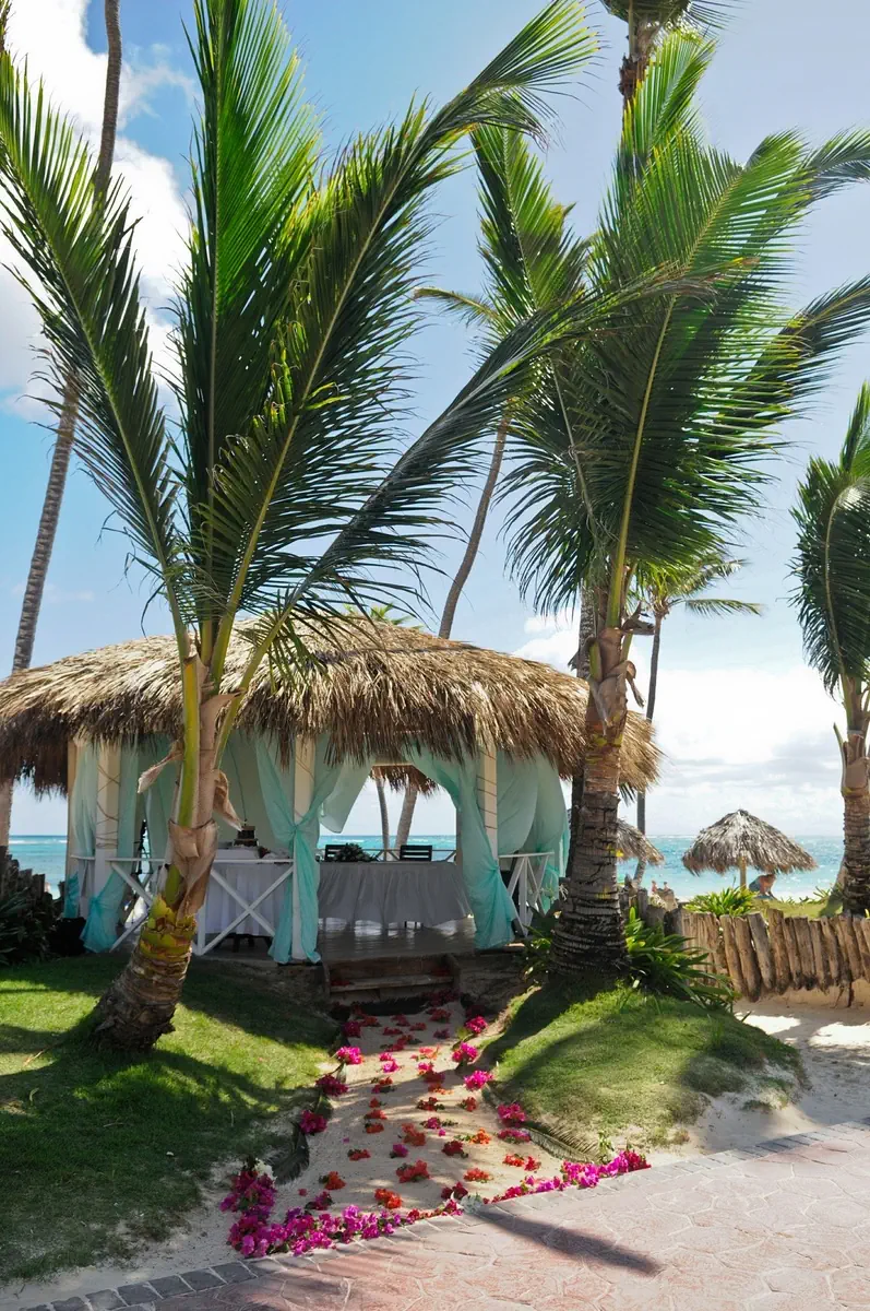 VIK Cayena Beach - zdjęcie 16