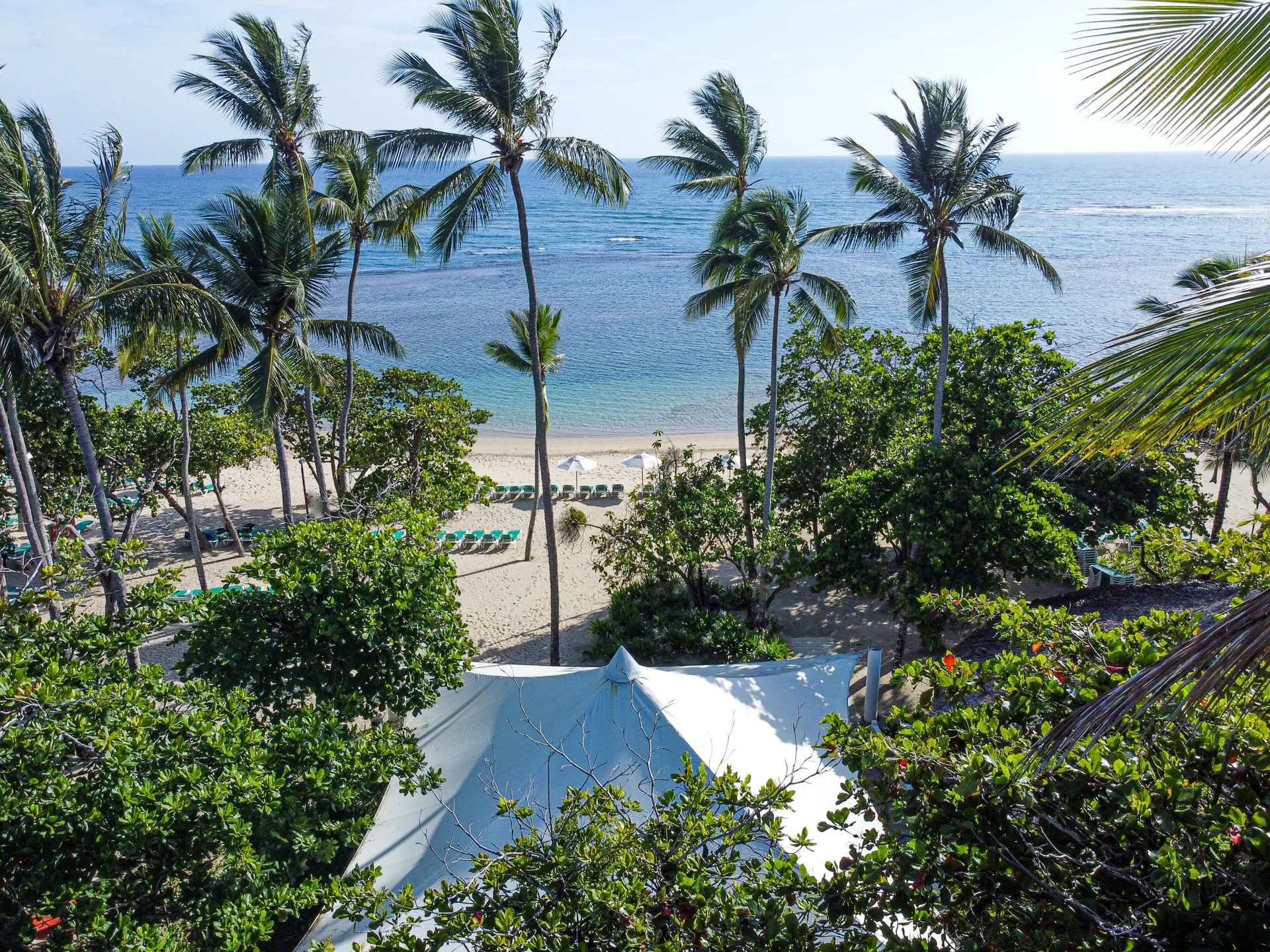 Gran Ventana Beach Resort - zdjęcie 10