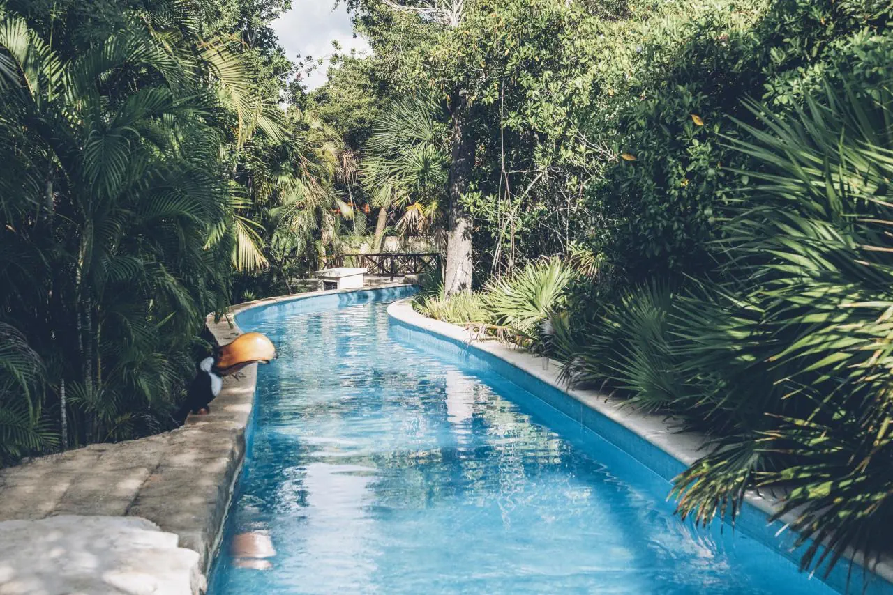 Iberostar Selection Paraiso Maya Suites (Ex- Iberostar Paraiso Maya) - zdjęcie 6