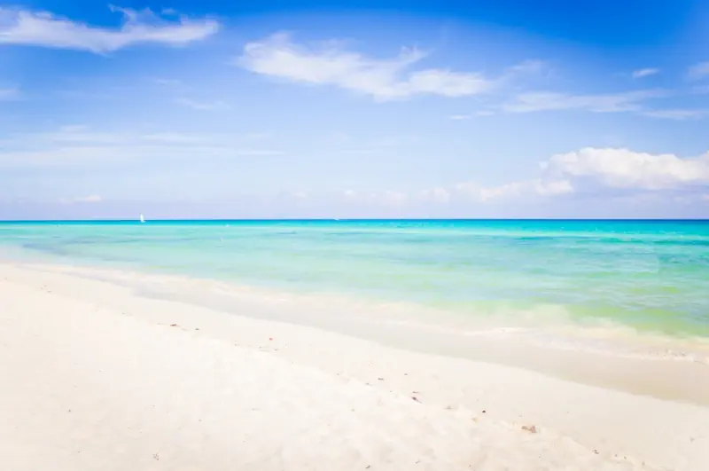 The Reef Playacar Resort & Spa - zdjęcie 29