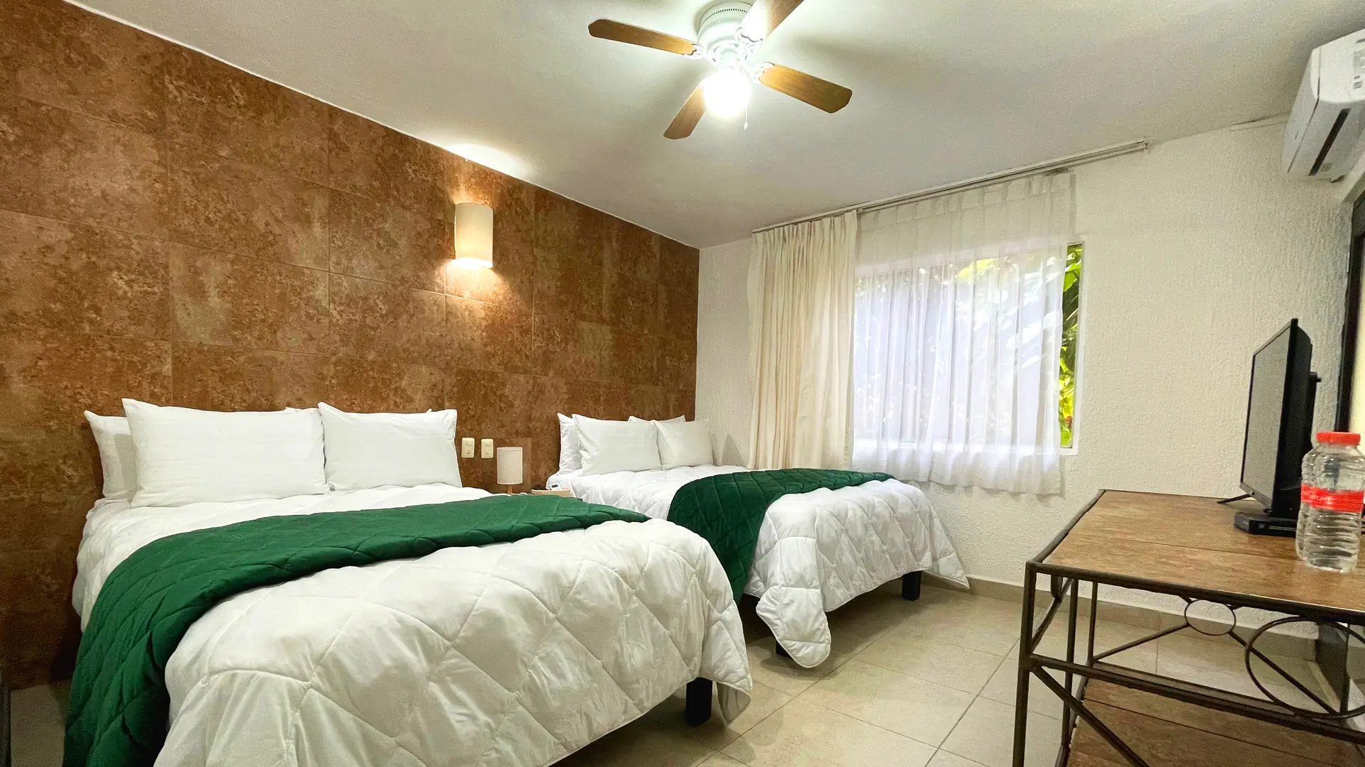 Tukan Playa del Carmen - zdjęcie 4