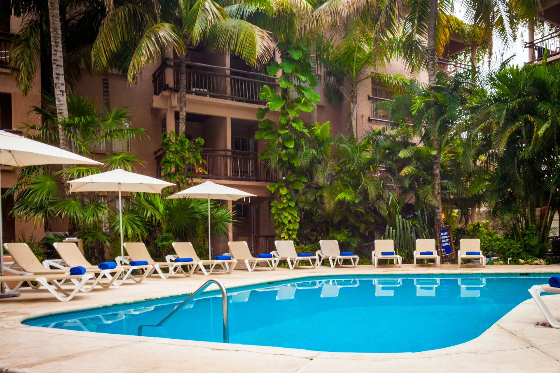 Tukan Playa del Carmen - zdjęcie 32