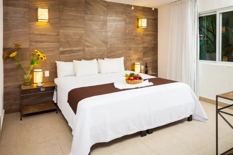 Tukan Playa del Carmen - zdjęcie 39