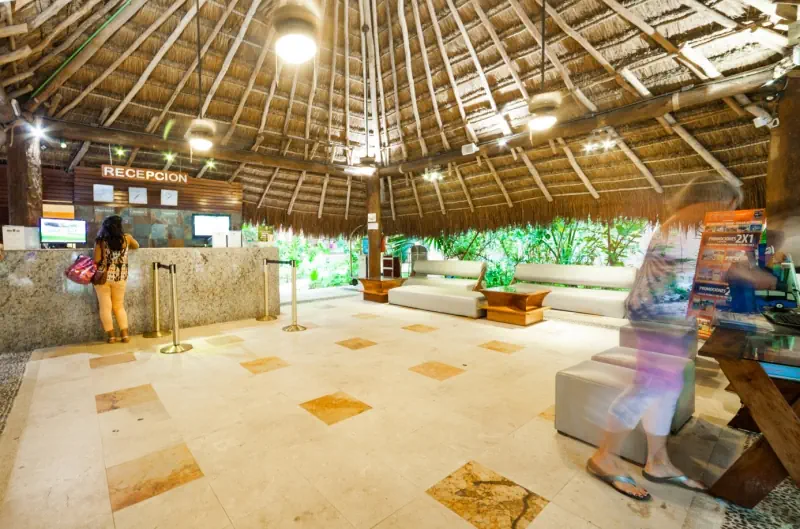 Tukan Playa del Carmen - zdjęcie 34