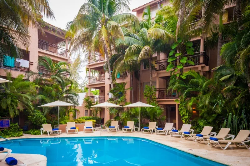 Tukan Playa del Carmen - zdjęcie 42