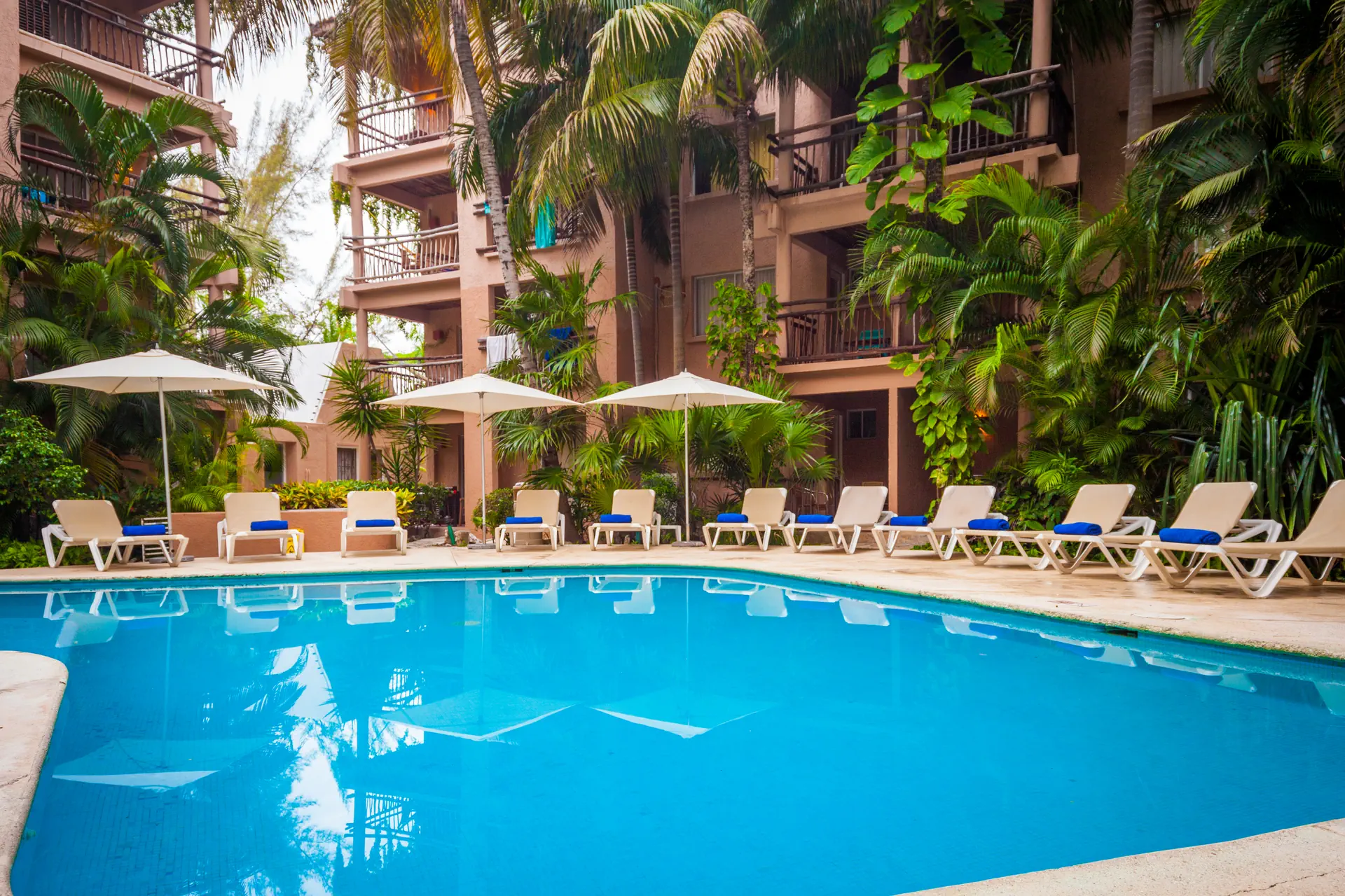 Tukan Playa del Carmen - zdjęcie 31