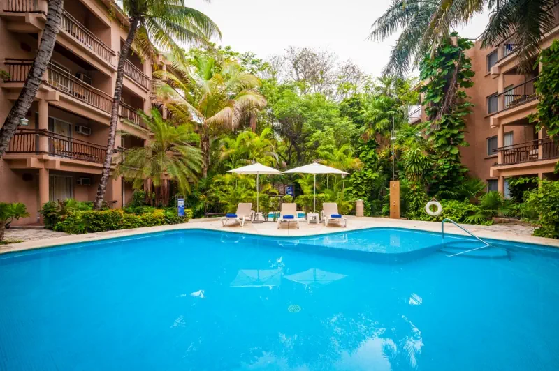 Tukan Playa del Carmen - zdjęcie 33