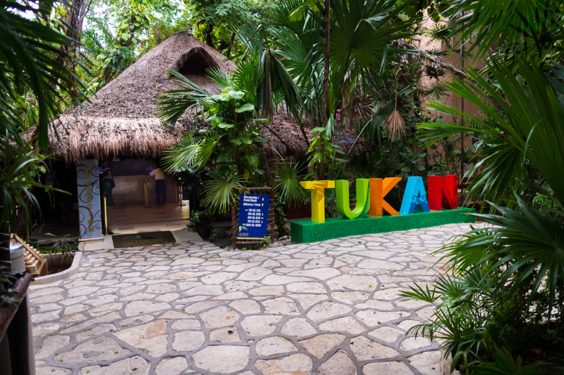 Tukan Playa del Carmen - zdjęcie 3