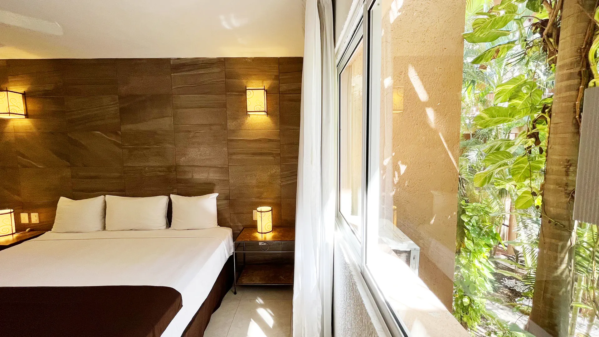 Tukan Playa del Carmen - zdjęcie 25