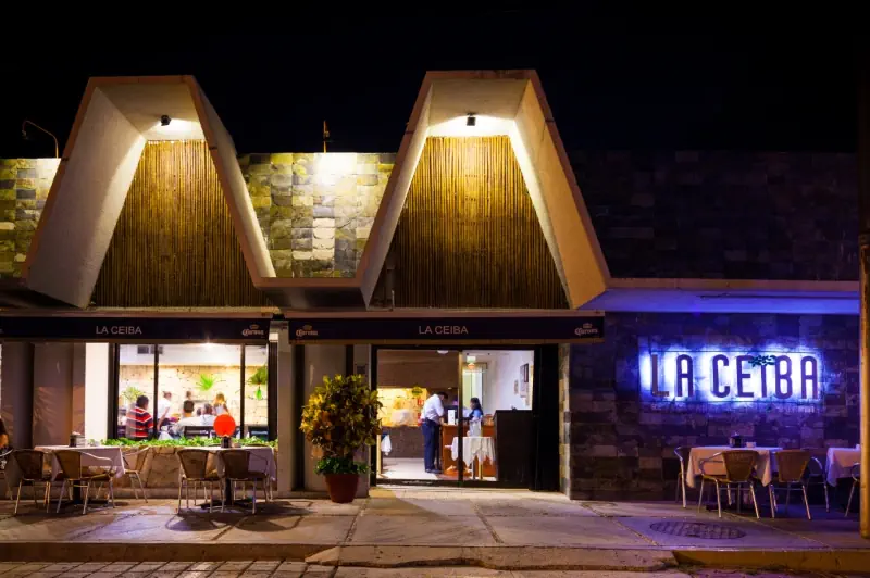 Tukan Playa del Carmen - zdjęcie 46
