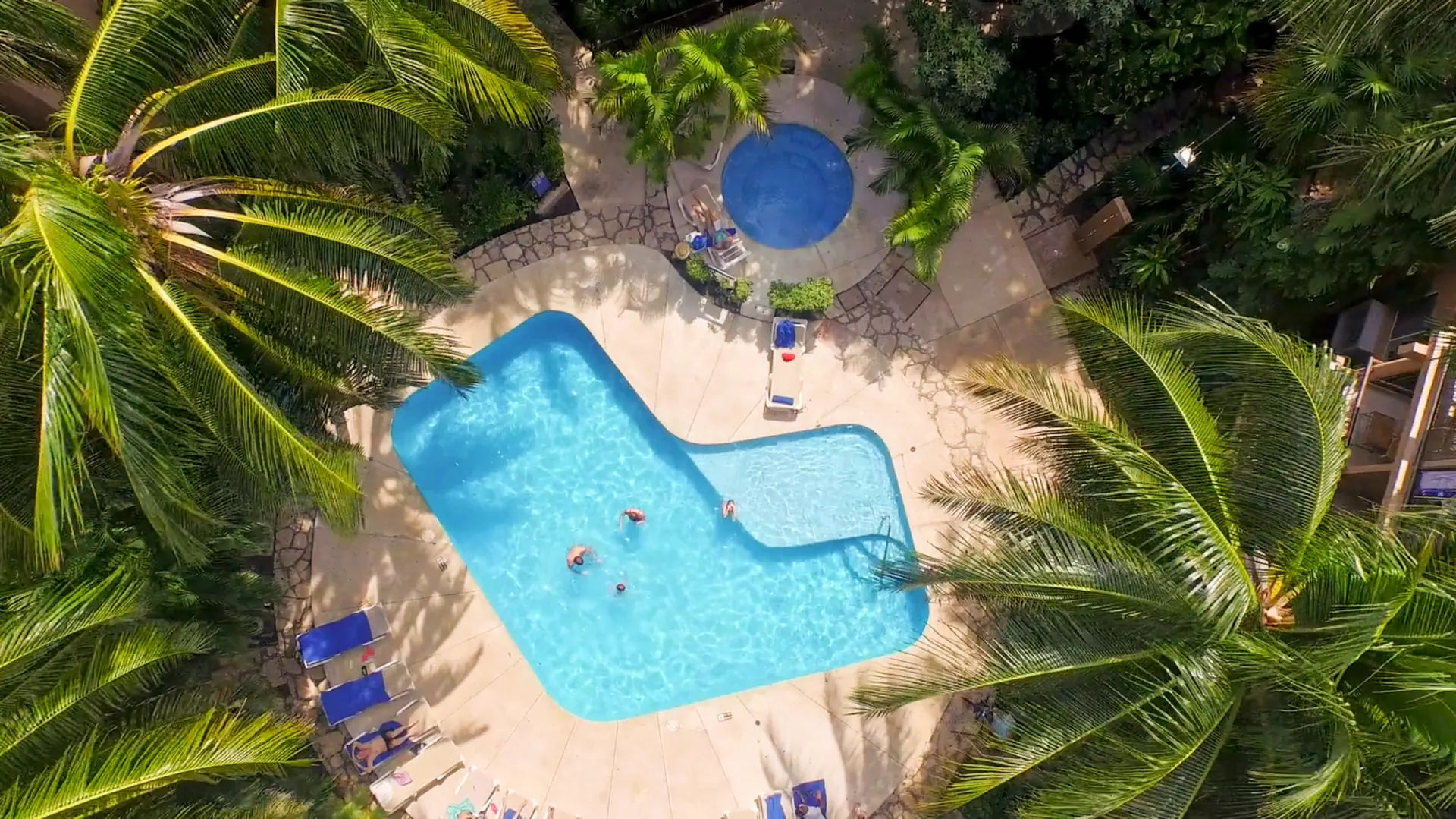 Tukan Playa del Carmen - zdjęcie 2