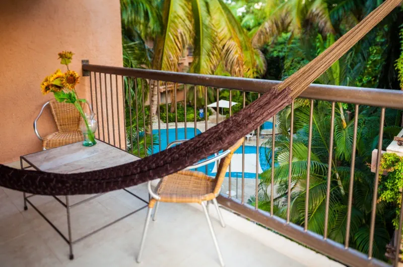 Tukan Playa del Carmen - zdjęcie 37