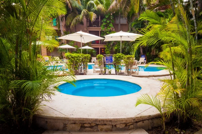 Tukan Playa del Carmen - zdjęcie 45