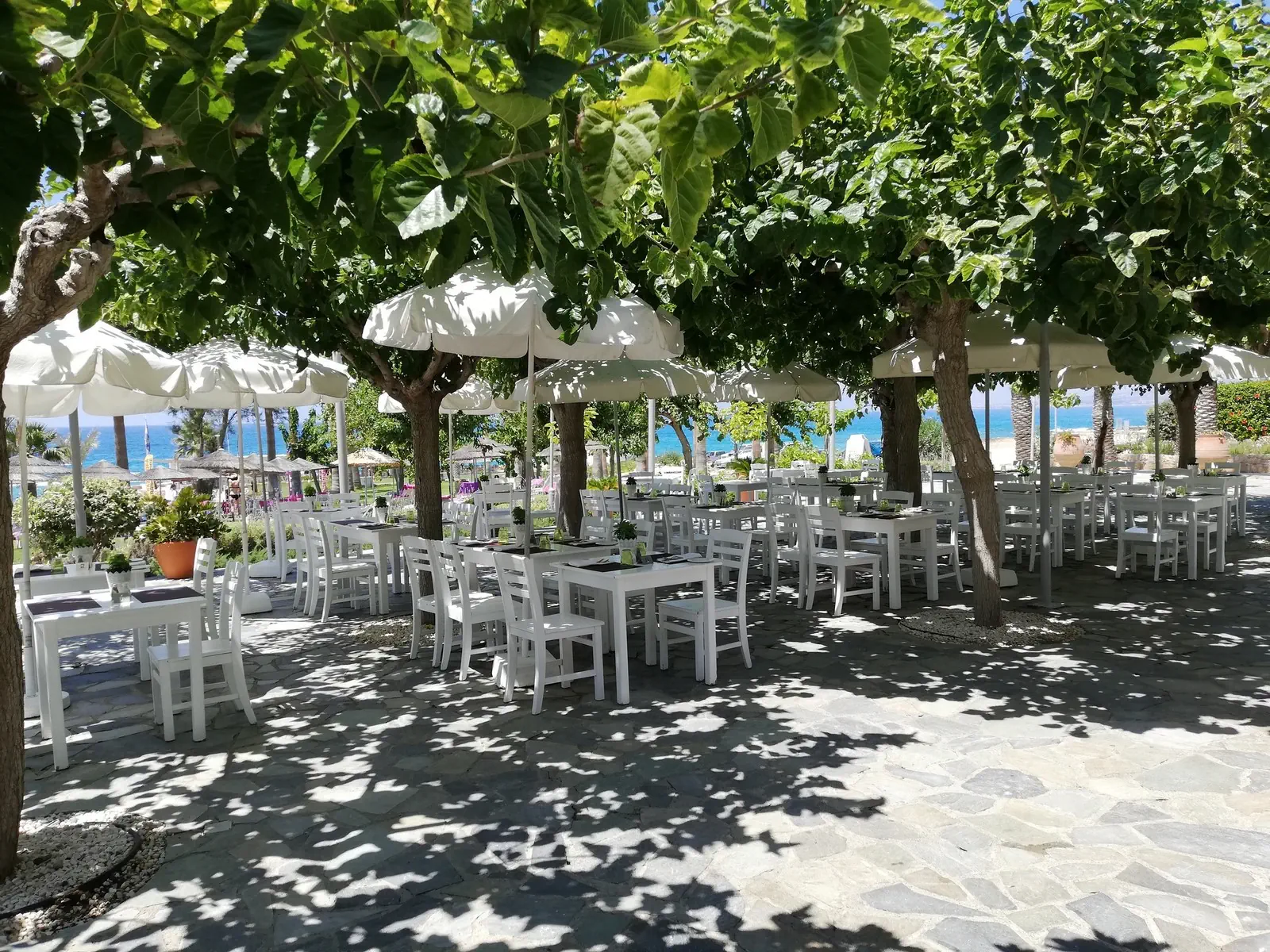 St. George Beach Hotel and Spa Resort - Adults Only