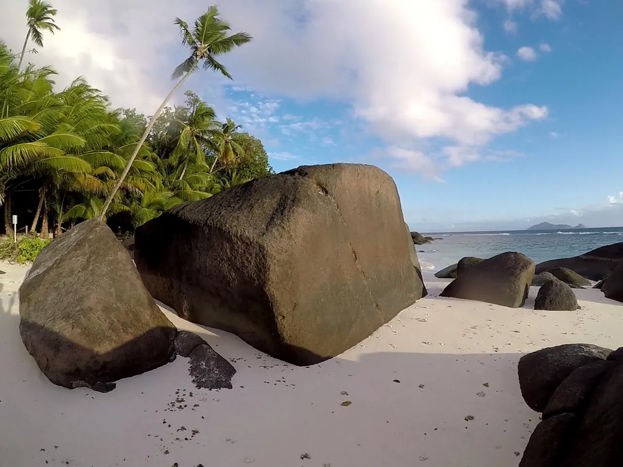 Niva Labriz Seychelles - zdjęcie 10
