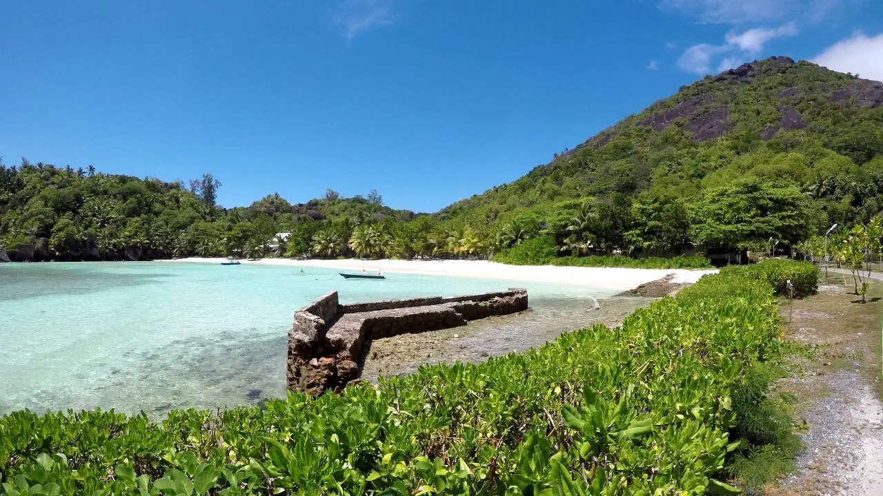Niva Labriz Seychelles - zdjęcie 4