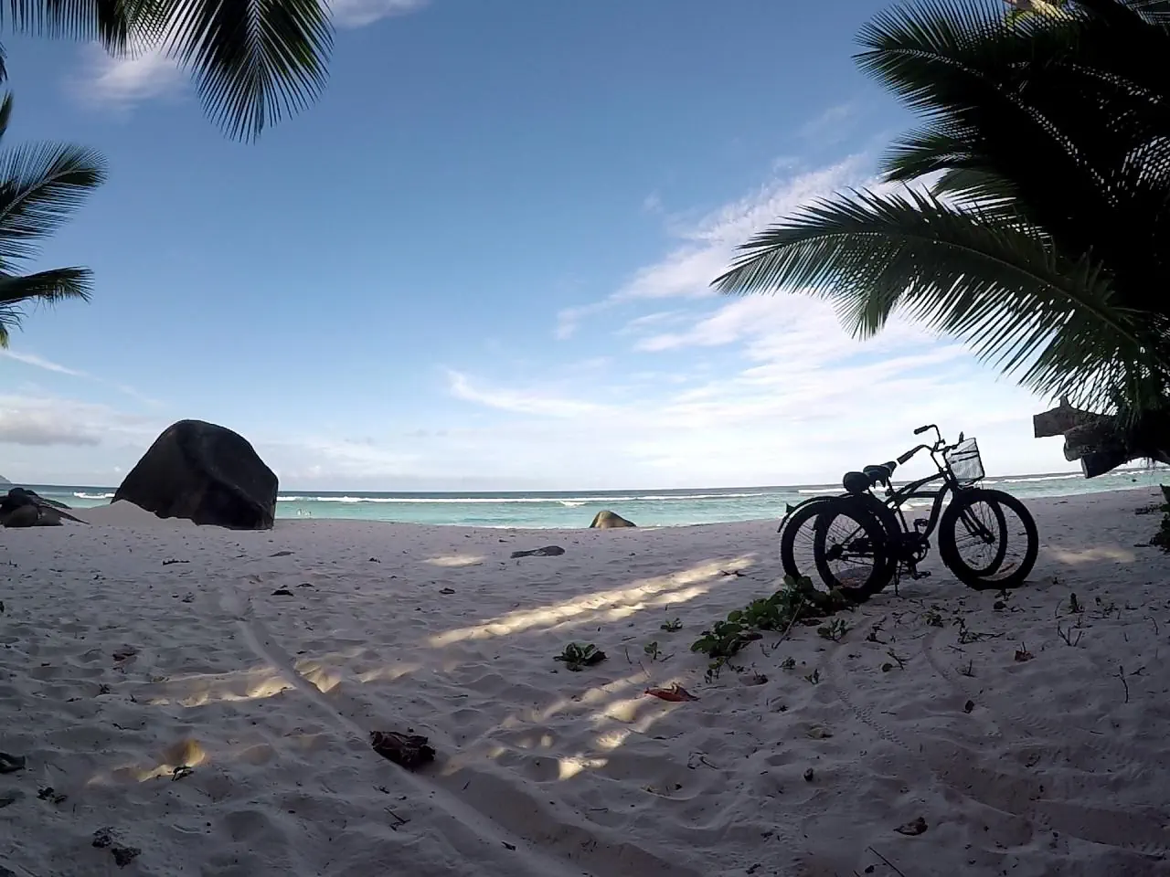 Niva Labriz Seychelles - zdjęcie 7