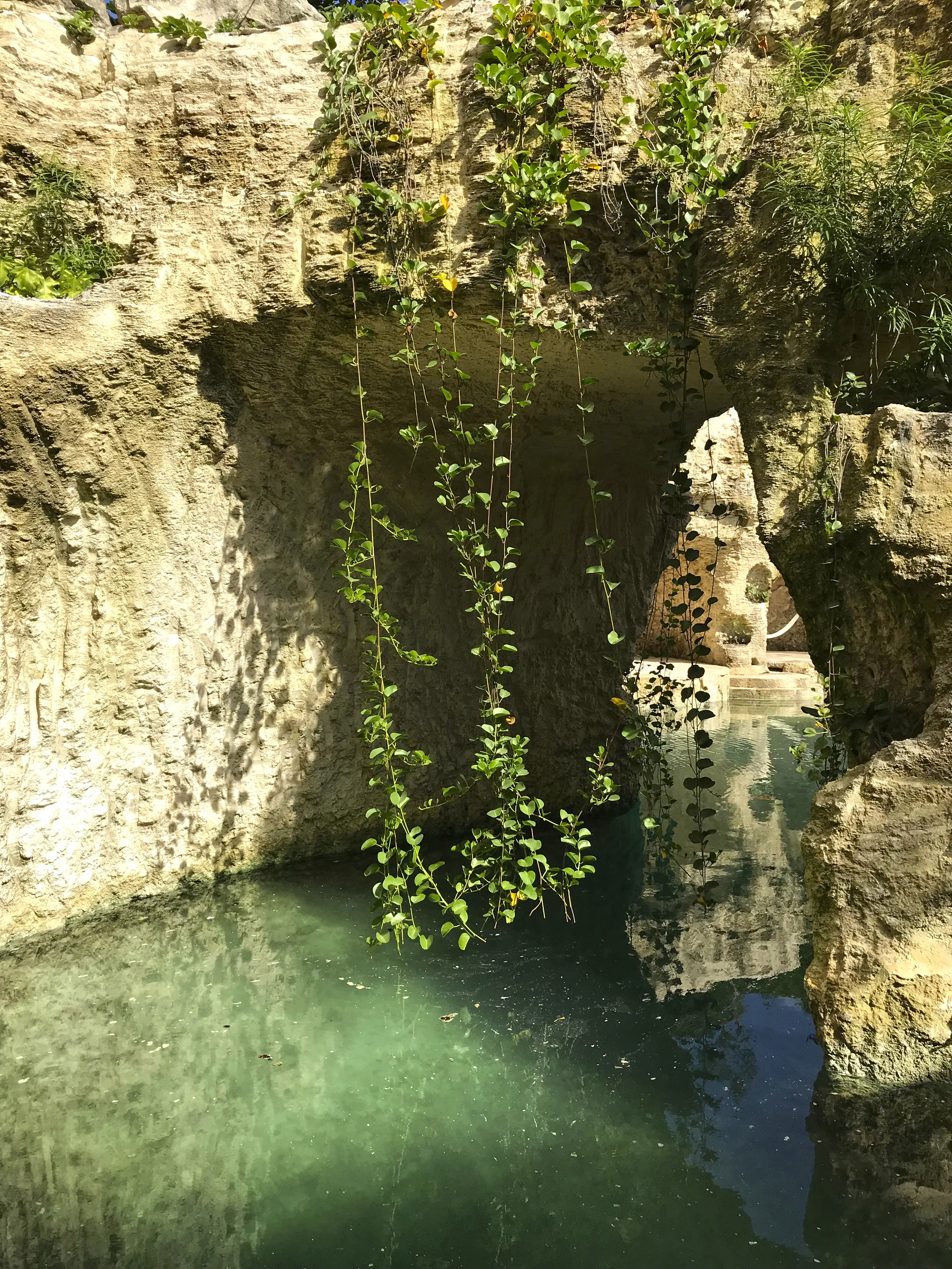 Xcaret Mexico - zdjęcie 26