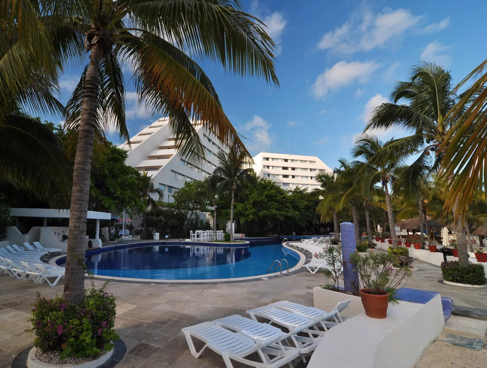 Oasis Palm - zdjęcie 6
