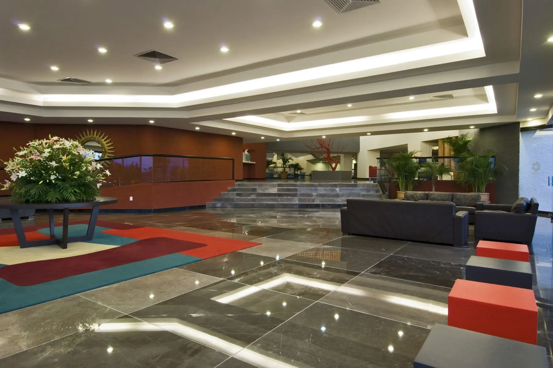 Oasis Palm - zdjęcie 22