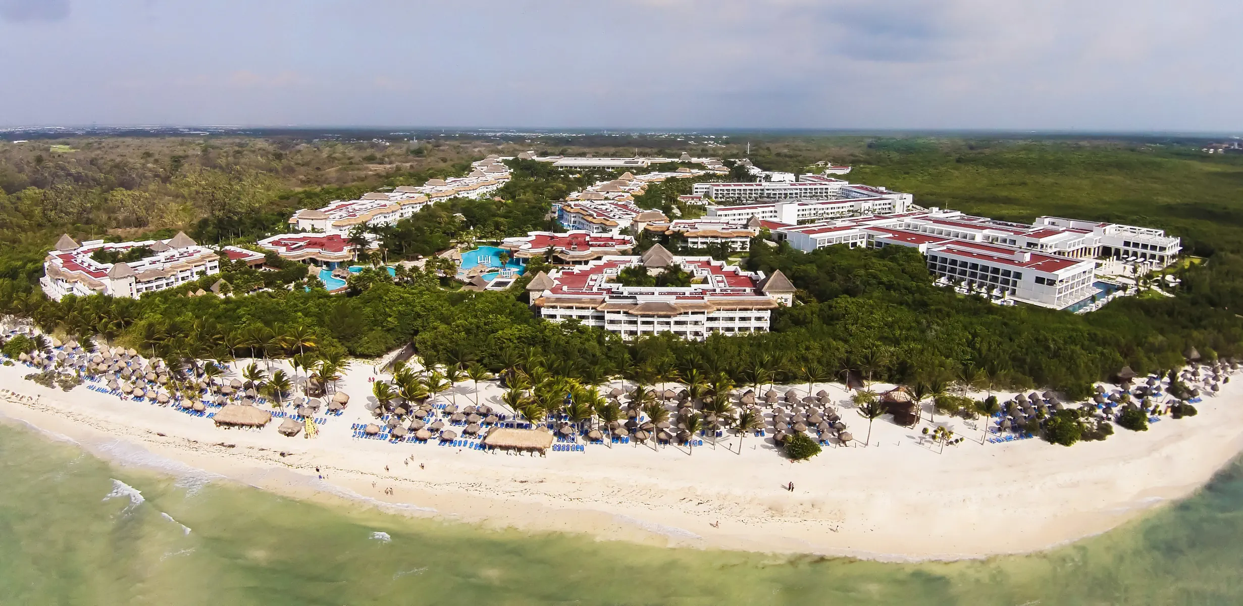 Platinum Yucatan Princess - zdjęcie 2