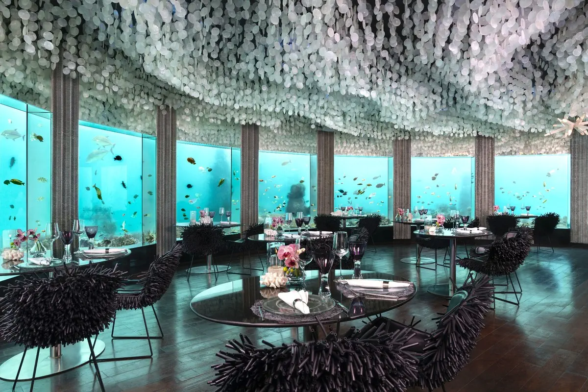 Niyama Resort - zdjęcie 7