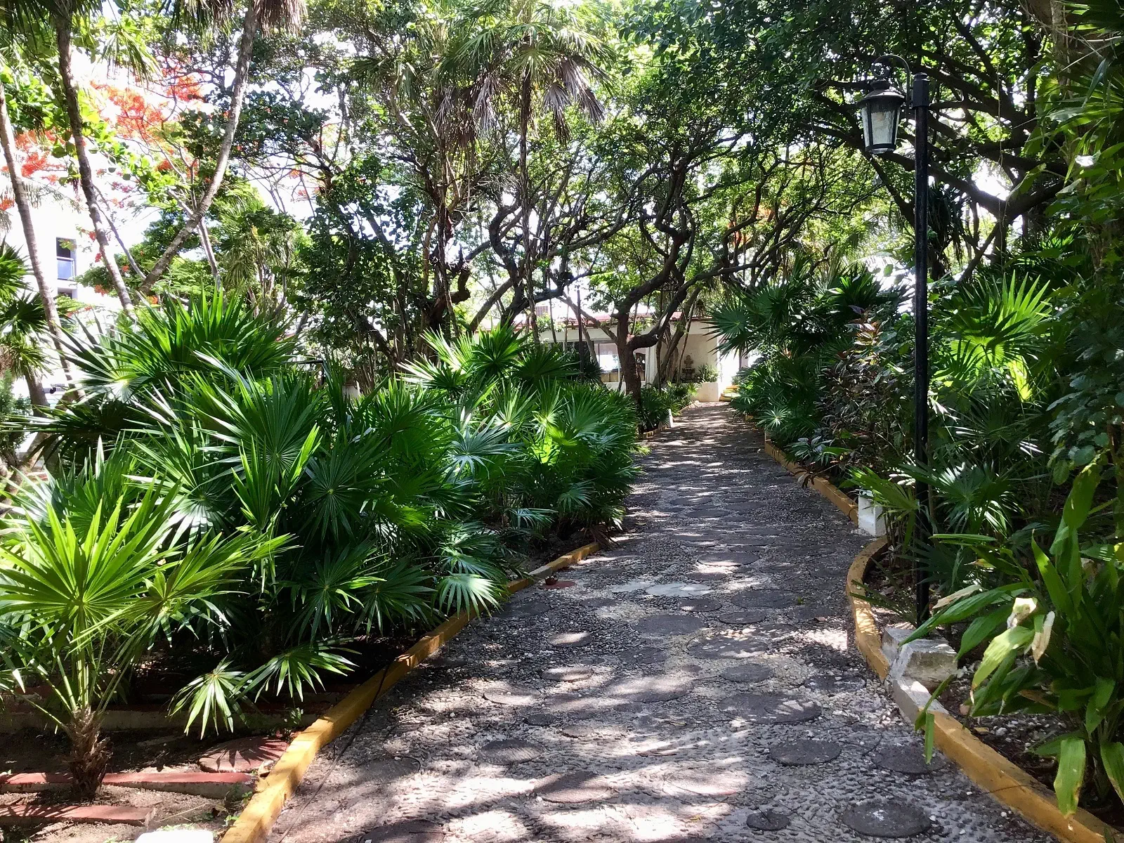 Maya Caribe Faranda