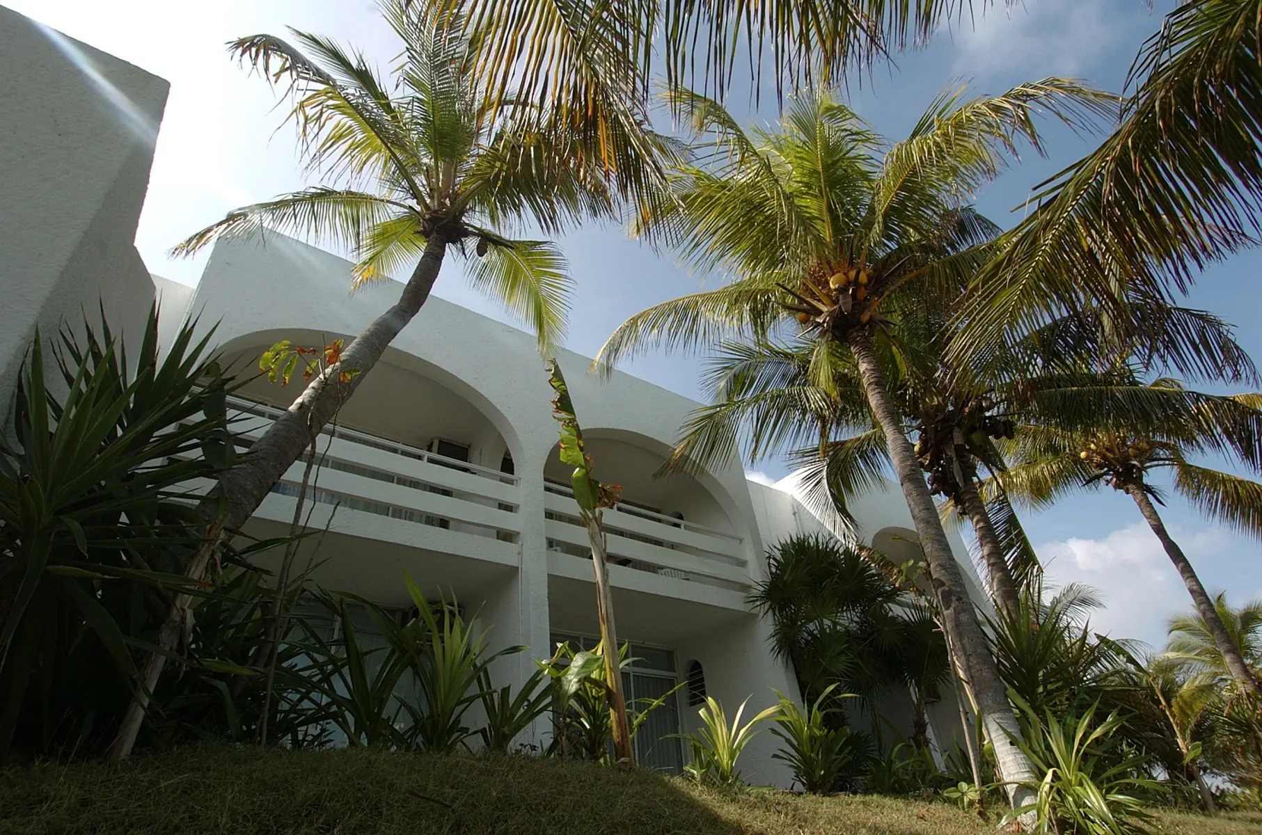 Maya Caribe Faranda