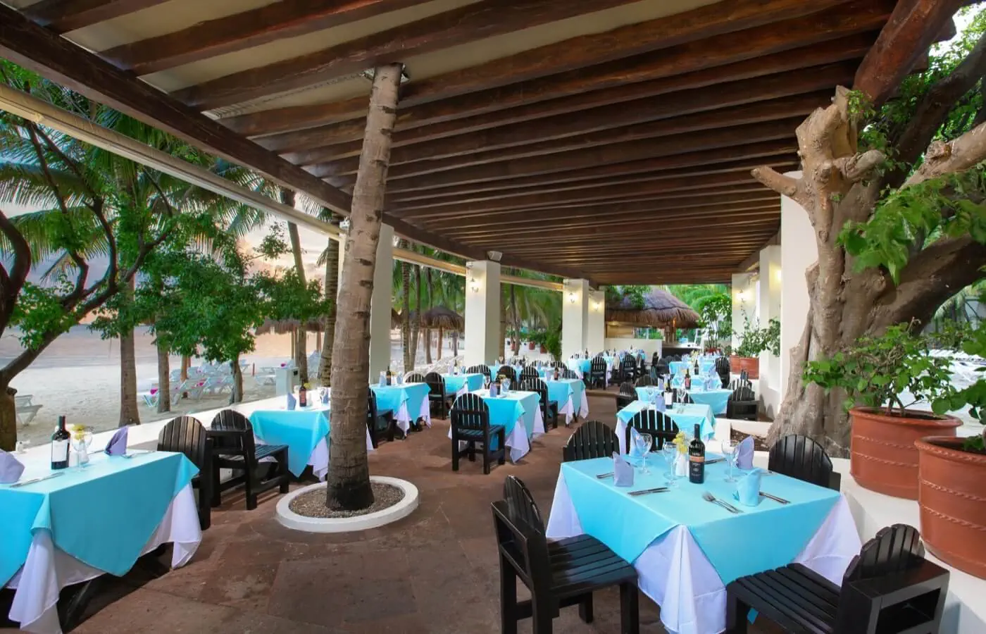 Grand Oasis Palm - zdjęcie 21
