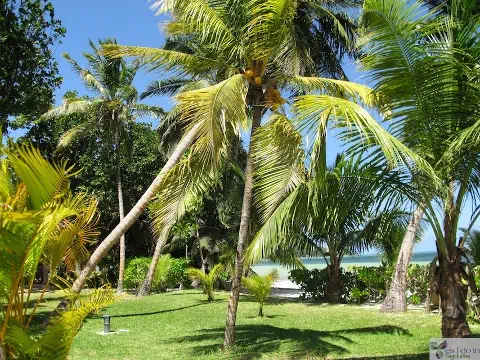 Indian Ocean Lodge - zdjęcie 16