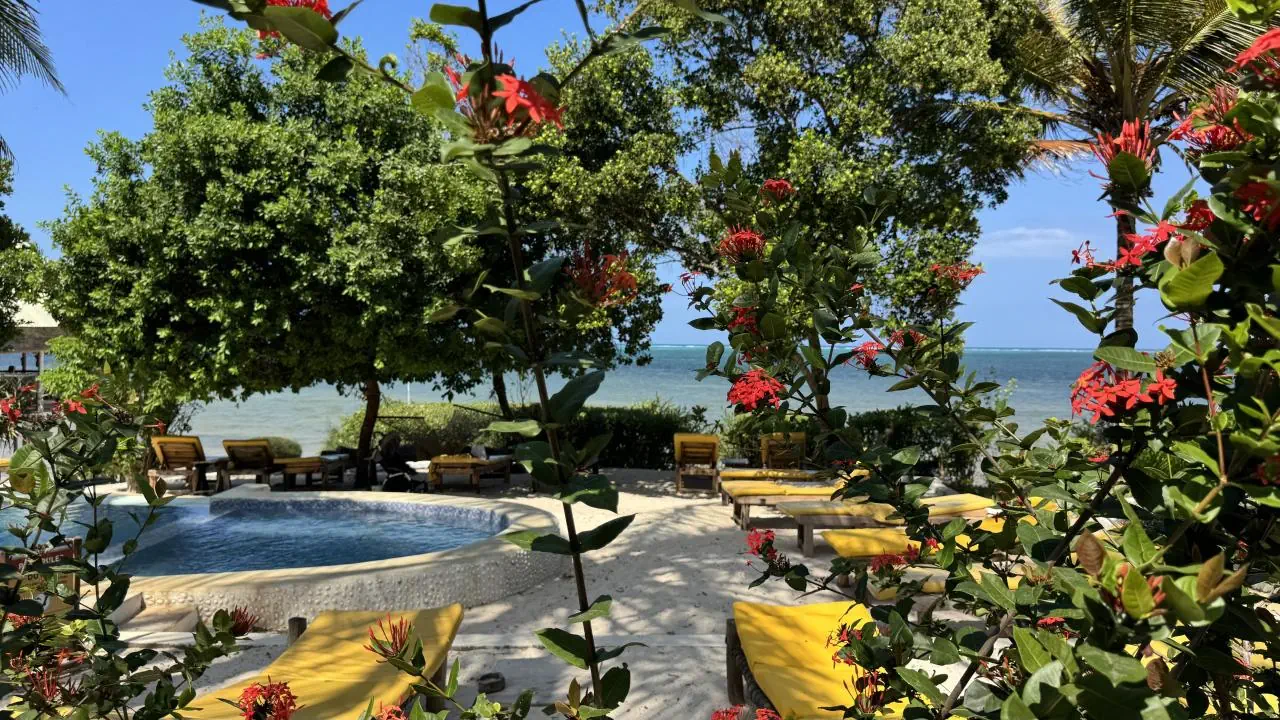 Z - Lodge Zanzibar - zdjęcie 6