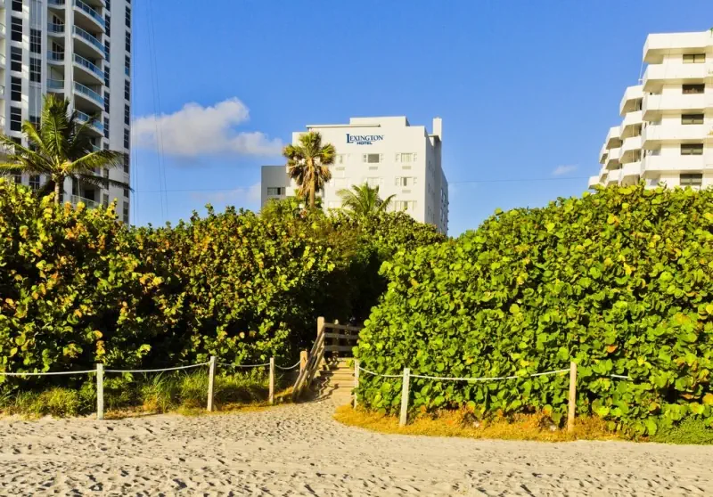 Lexington Miami Beach - zdjęcie 11