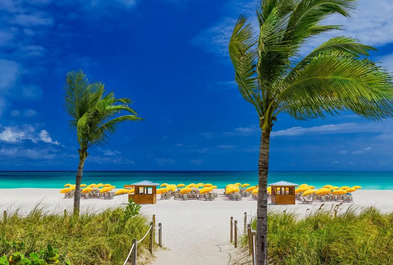Royal Palm South Beach Tribute Portfolio Resort (ex James Royal Palm) - zdjęcie 4