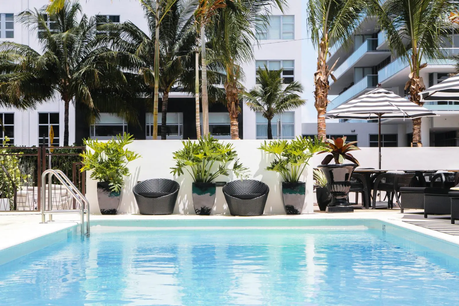 Croydon Miami Beach - zdjęcie 4