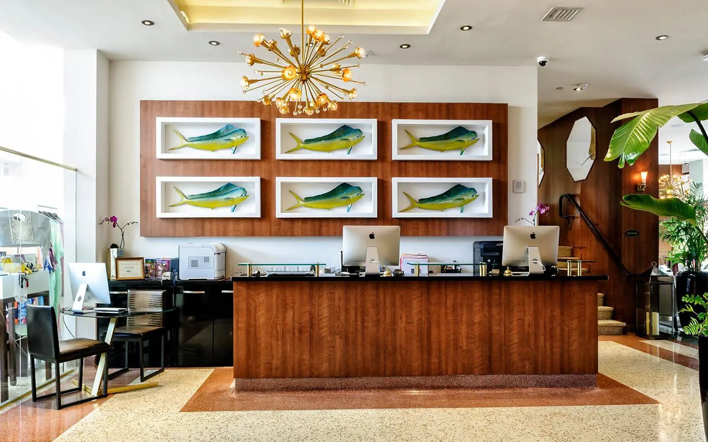 Croydon Miami Beach - zdjęcie 8