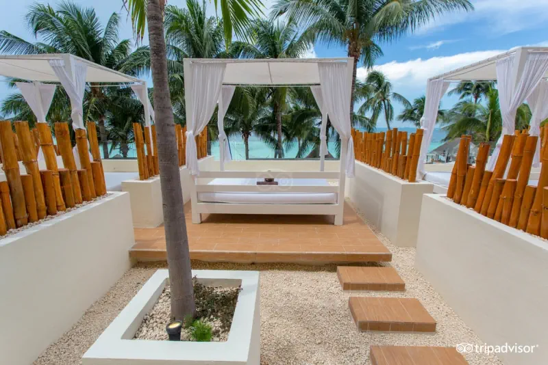 Dreams Sands Cancun Resort & Spa - zdjęcie 16