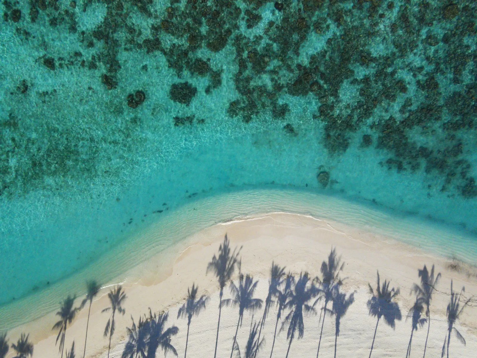 Milaidhoo Island Maldives - zdjęcie 4