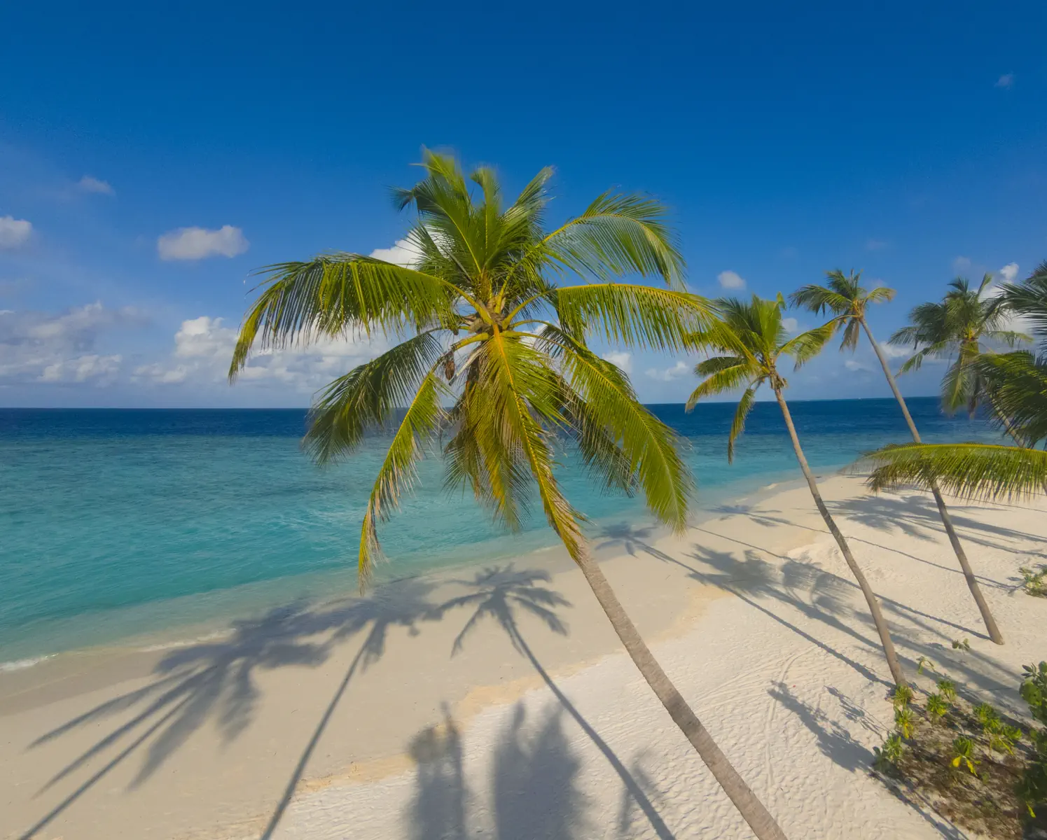 Milaidhoo Island Maldives - zdjęcie 3