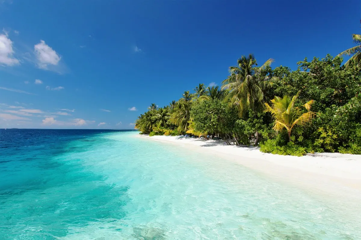 Vilamendhoo Island Resort - zdjęcie 4