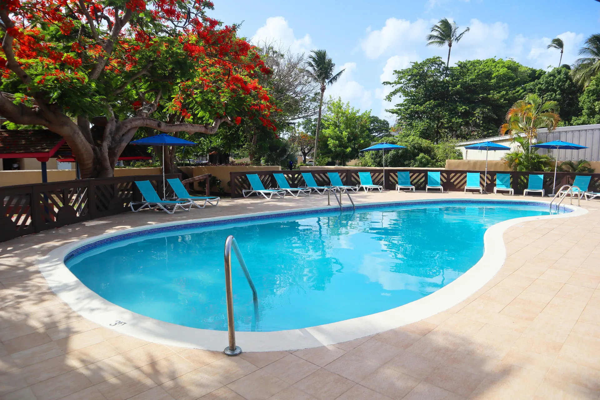 Divi Southwinds Beach Resort - zdjęcie 21