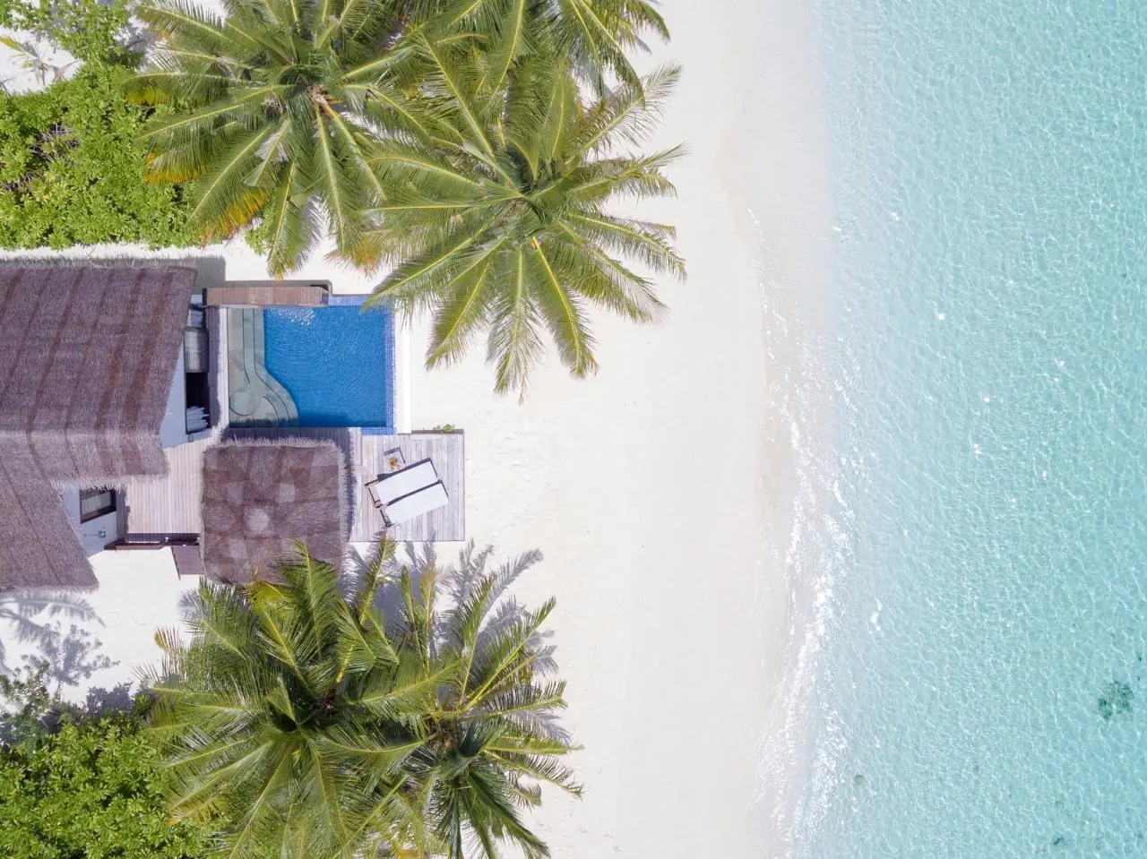Bandos Maldives - zdjęcie 7
