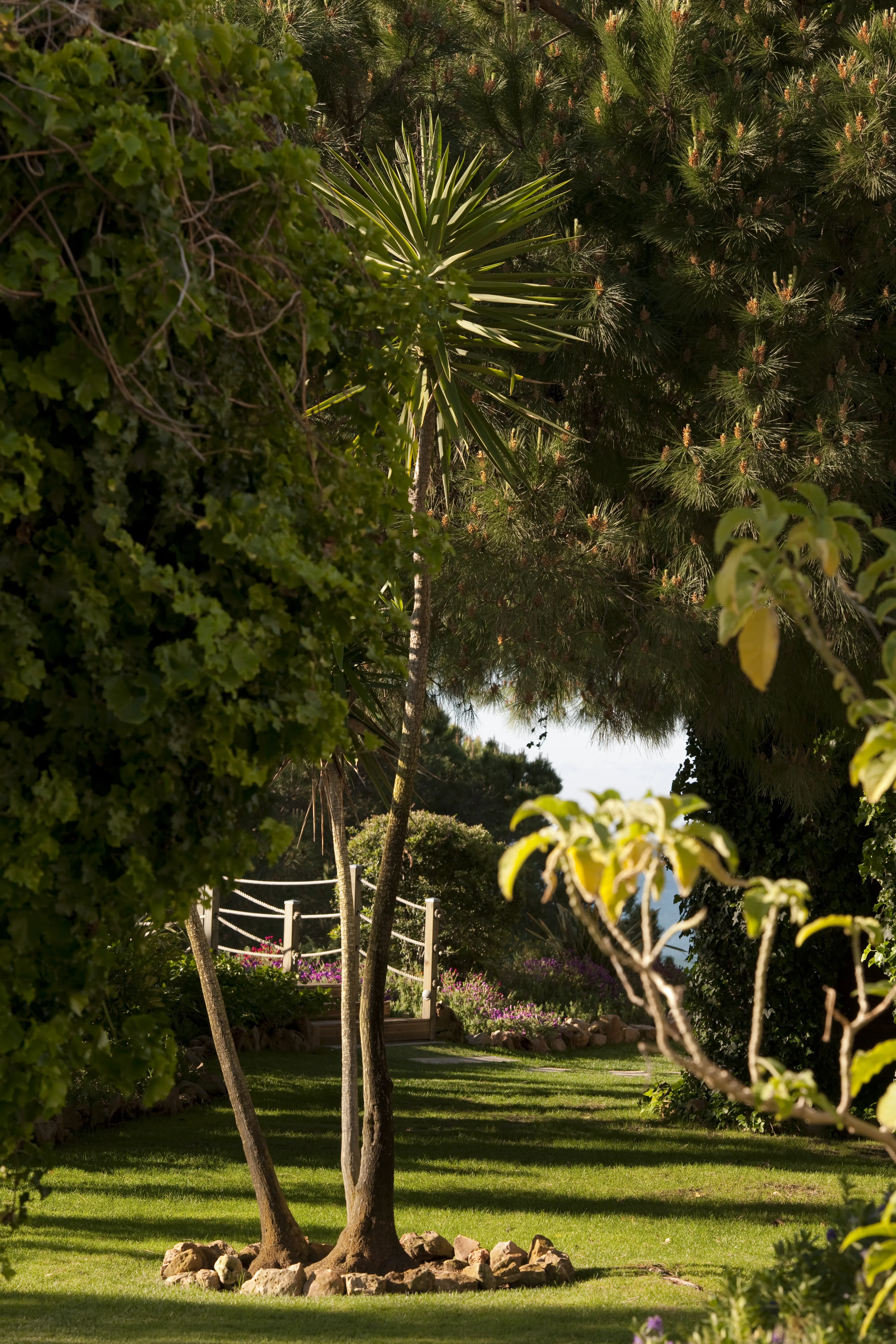 PortoBay Falesia