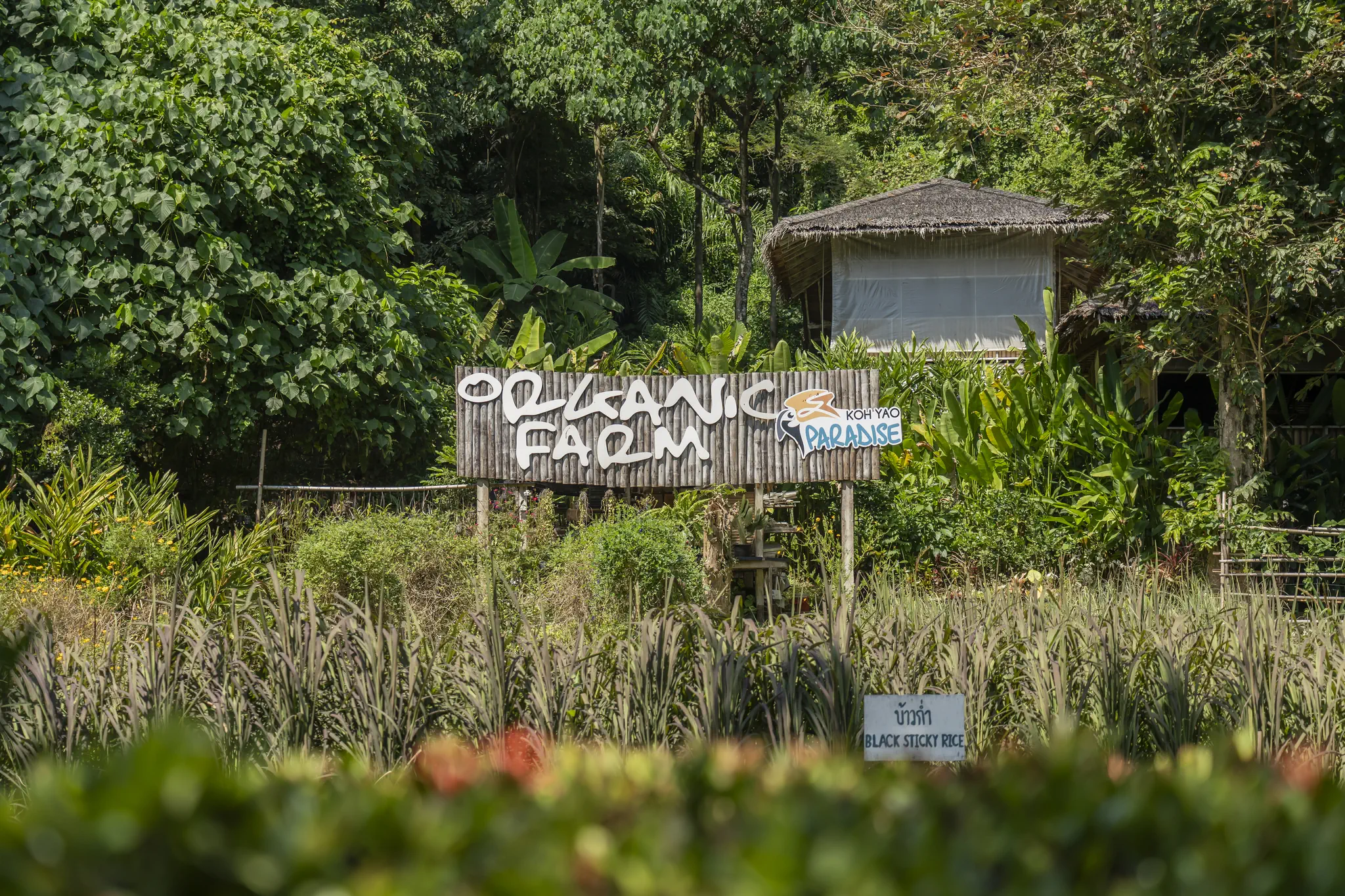 The Paradise Koh Yao Resort - zdjęcie 12