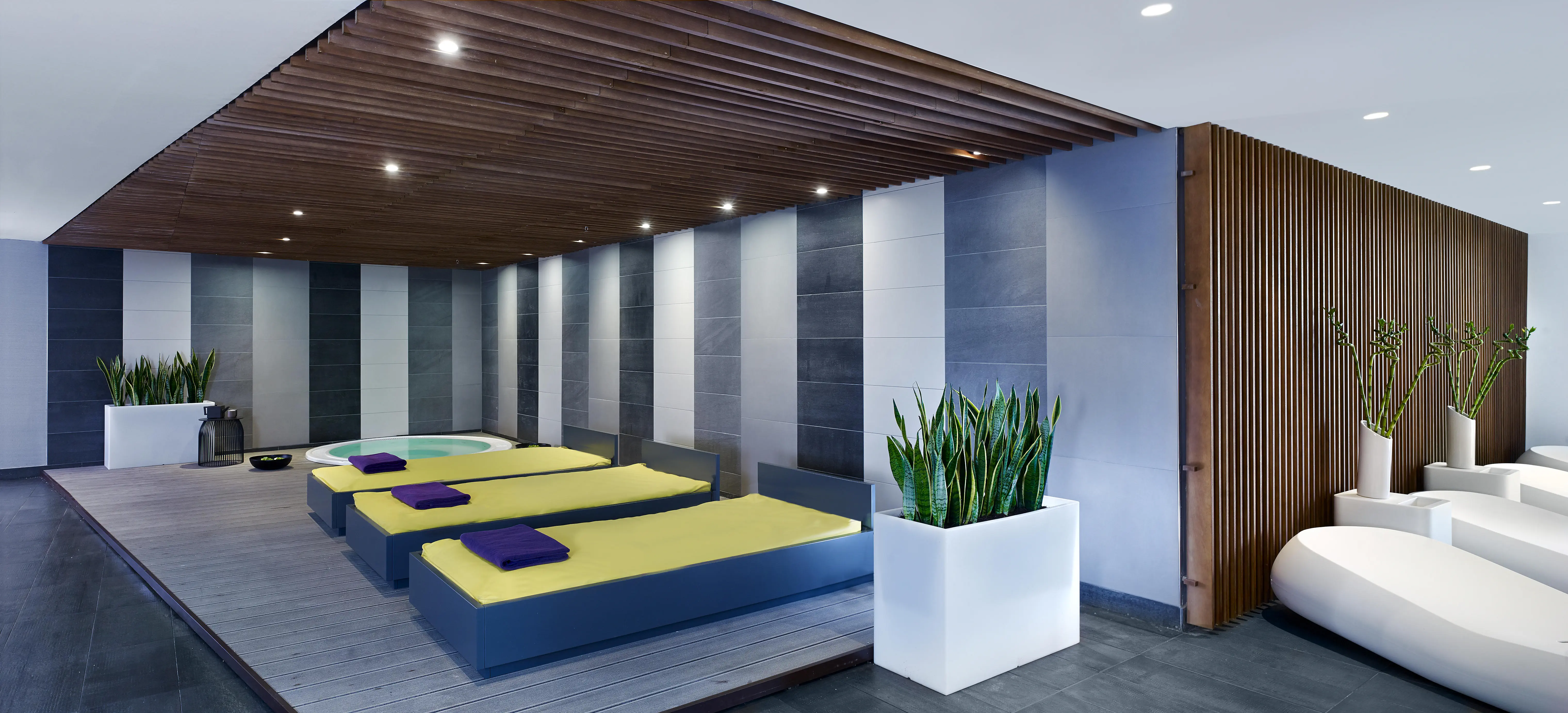 Park Plaza Belvedere - zdjęcie 41