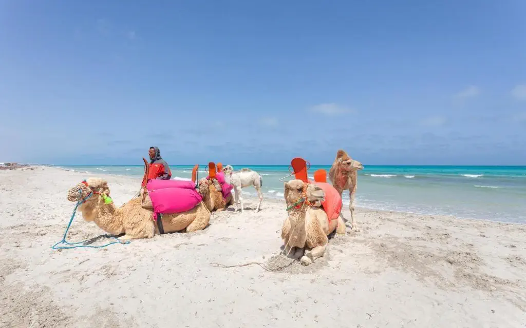 HOTEL Djerba Aqua Resort