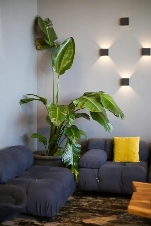 Belvedere - zdjęcie 12